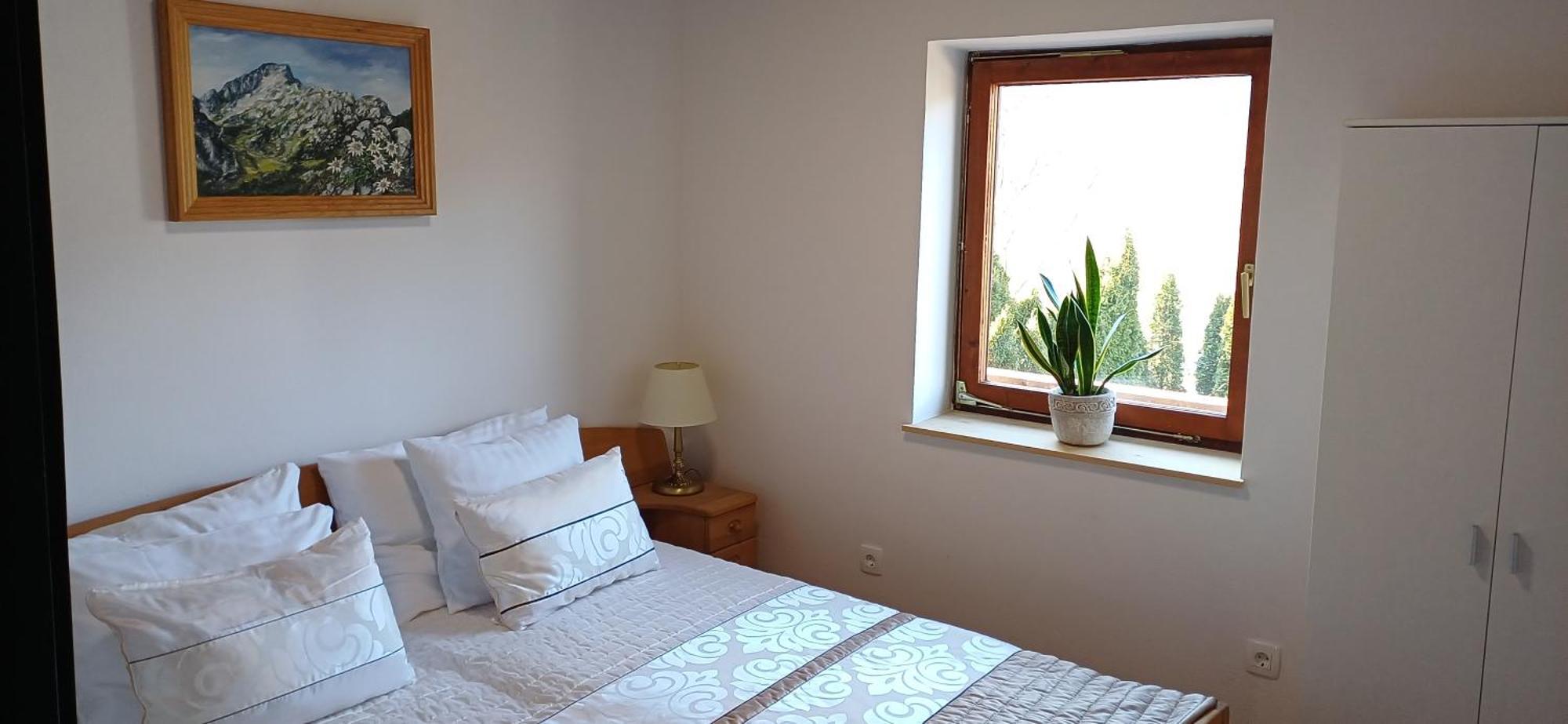 Hotel Planinka Ljubno المظهر الخارجي الصورة