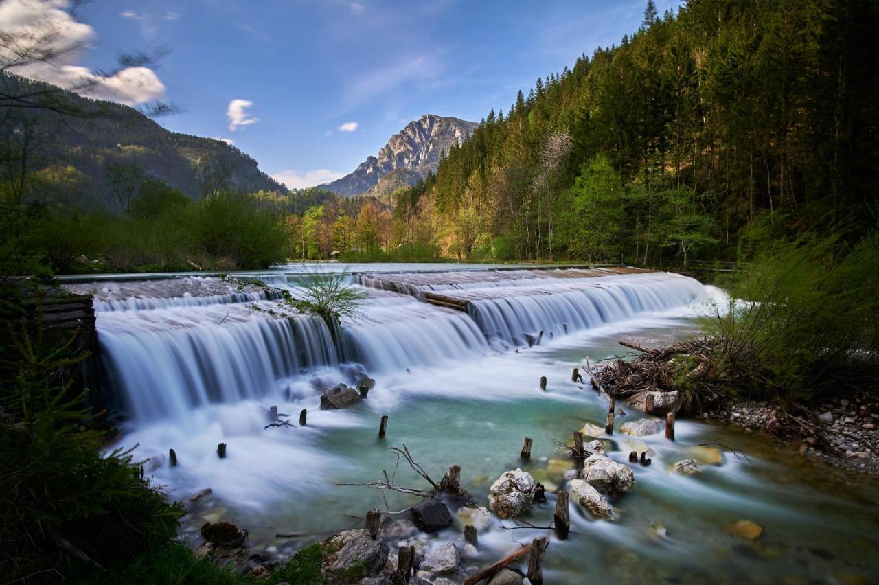 Hotel Planinka Ljubno المظهر الخارجي الصورة